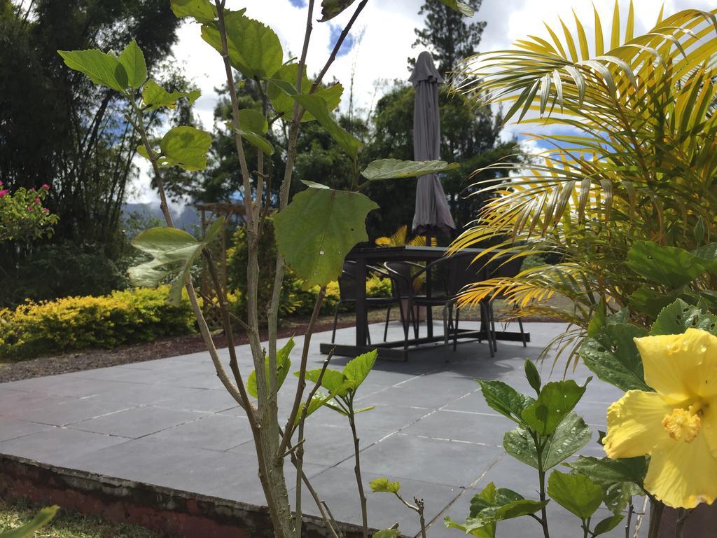 Meuble De Tourisme "Au Bord De La Mare" Villa Salazie Ngoại thất bức ảnh